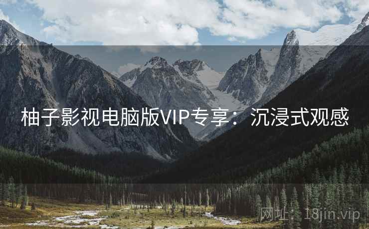 柚子影视电脑版VIP专享：沉浸式观感